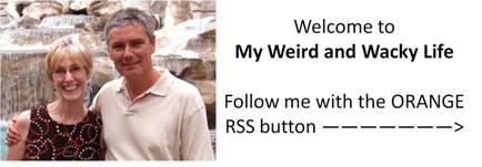 My Weird And Wacky Life